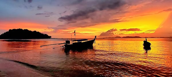 Early Bird Sunrise