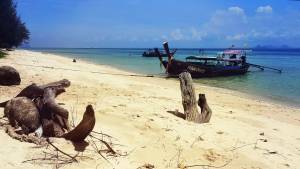 The pristine beach at Ko Ngai