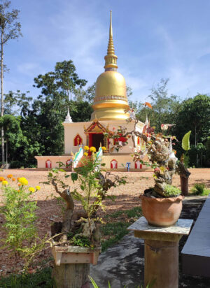 The new pagoda at the temple in Old Town