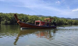 Longtail trip through the mangroves at Tung-Yee-Peng