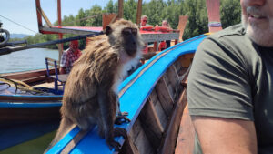 A curious monkey on our longtail trip!