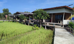 Main buildings at Na Tam Mu farm on Koh Lanta Noi