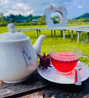 A pot of naam kra-jeab (น้ำกระเจี๊ยบ) at Na Tam Mu farm on Koh Lanta Noi