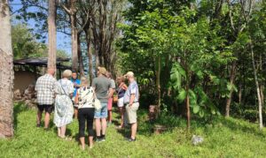English speaking guide explaining the rubber production process